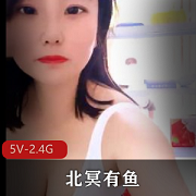 北冥有鱼，店里生意不好，G搭外卖小哥，5V-2.4G