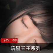 暗黑王子系列24部无水印合集，48.2G岛国剧本，妹子颜值身材优质，精彩玩法不容错过